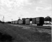 View of railroad cars - Bushnell, Florida