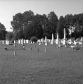 Cemetery in Ellaville, Florida.