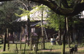 Edgar Langford Jr. farmhouse in Newberry.
