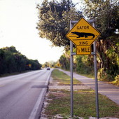Gator Xing road sign in Lee County, Florida.
