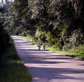 View showing people biking in Tallahassee, Florida.