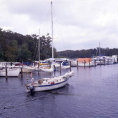 View showing a boat traveling on the St. Johns River by the docks at Sanford, Florida.