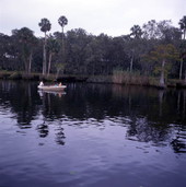 View showing a small motorboat traveling on the scenic St. Johns River at Sanford, Florida.