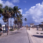 View of people at the beach in Lake Worth, Florida.
