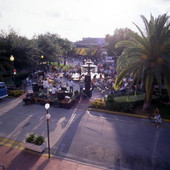 View showing a band performing a concert in the historic Hyde Park district of Tampa, Florida.