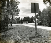 Road to Marco, Florida.