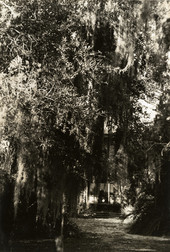 Entrance to the Koreshan Unity's Planetary Court building in Estero, Florida.