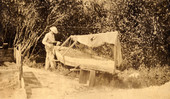 Koreshan gardening in an old boat in Estero, Florida.