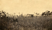 Crowd viewing an airplane.