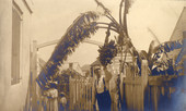 Man viewing banana plant in Key West, Florida.