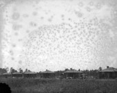 Homes of workers at brick plant