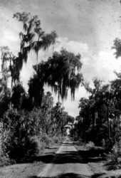 Country road