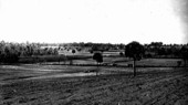 Panorama of newly ploughed trucking lands
