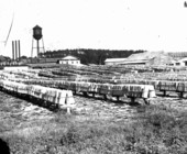 Crate mill drying yard