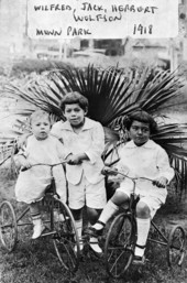 Wilfred, Jack and Herbert Wolfson on tricycles at Munn Park