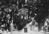 Looking east on Ocklawaha Avenue