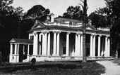 Governor's Mansion circa 1910's with a cow on the lawn