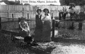 Tourists driving alligator - Jacksonville, Florida.