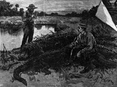 Waiting for daylight after fire-hunting for alligators