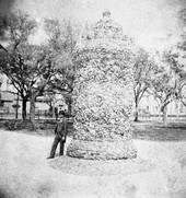 Seashell monument in Florida.