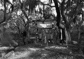 Surveyor's camp - Avon Park, Florida