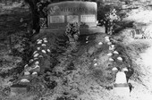 Wilkerson plot decorated with sea shells at Macedoni Cemetery - Baker County, Florida
