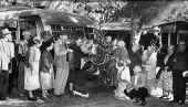 Decorating Christmas Tree at Sarasota city park
