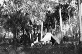 Camping in Leon or Wakulla County