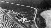 Aerial view of packing house and grove at Doctor Phillips - Florida