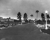 Street lights in Daytona Highlands