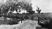 Wheeler Street railroad crossing - De Leon Springs, Florida