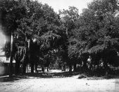 Sixth Street - Fernandina, Florida