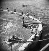 People fishing from the banks of the Saint Johns River