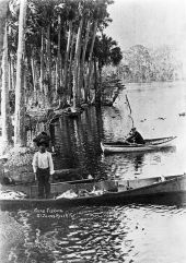 Shad fishing on the Saint Johns River