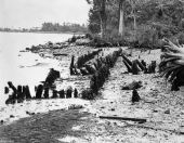 Pilings at San Marcos de Apalache Historic State Park - St. Marks, Florida