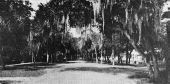 Ridgewood Avenue - Daytona Beach, Florida