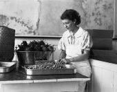 FERA relief worker canning beans - Hastings, Florida .