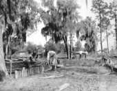 Construction of recreation park walkway