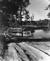 Grove Street - Eustis, Florida