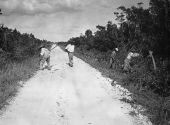 Improvement of San Marco Road by FERA workers - Collier County, Florida