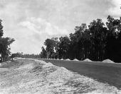 Rutledge Road FERA project - Citrus County, Florida