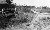 Rural road - Hernando County, Florida