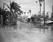 Tidal flooding in Everglades two days after passage of Hurricane Donna