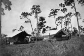 Tents at surveyors' camp