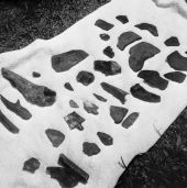 Pottery, bones, and arrowheads - Silver Glen Springs, Florida