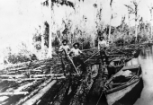 Logging raft in Lake County