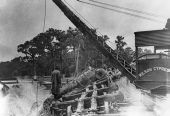 Loading timber with skidder in Lake County
