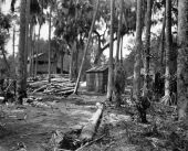 R.T. King's sawmill