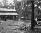 R.T. King's sawmill