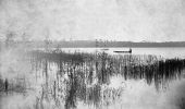 Wolf Pond - Jackson County, Florida